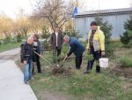 1203_img_0156.jpg (176.3 Kb)