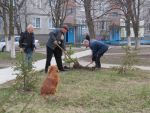 1233_img_0171.jpg (185.27 Kb)
