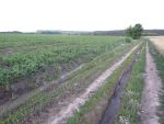 1678_img-0238.jpg (278.68 Kb)