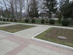 2304_img_0058.jpg (309.86 Kb)