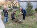 2372_img_0147.jpg (187.76 Kb)
