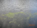 2610_dscn3728.jpg (113.02 Kb)