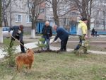 2867_img_0169.jpg (202.45 Kb)