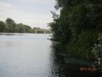 2869_dscn3724.jpg (97.06 Kb)