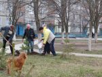 3154_img_0167.jpg (204.29 Kb)