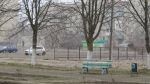 3174_img_8356.jpg (256.23 Kb)