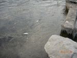 4770_dscn3729.jpg (114.74 Kb)