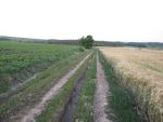 5058_img-0236.jpg (237.53 Kb)