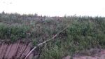 6078_img-0258.jpg (92.97 Kb)