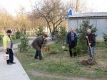 6093_img_0123.jpg (181.02 Kb)