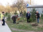 6798_img_0124.jpg (180.93 Kb)