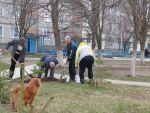 7830_img_0166.jpg (202.67 Kb)