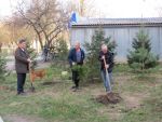 7937_img_0120.jpg (183.65 Kb)