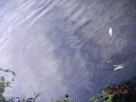8009_dscn3723.jpg (94.84 Kb)