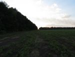 8501_img-0231.jpg (140.55 Kb)