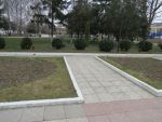 8924_img_00.jpg (300.91 Kb)