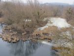1008_img_0027.jpg (71.88 Kb)