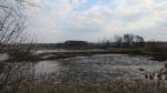 1178_img_1500.jpg (50.73 Kb)