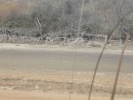 26_dscn2954.jpg (66.17 Kb)