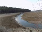 3228_dscn2932.jpg (56.59 Kb)
