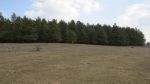 4216_img_1460.jpg (38.25 Kb)