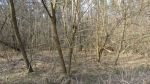 4258_img_1425.jpg (93.43 Kb)