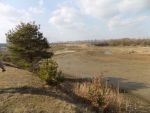 5014_dscn2960.jpg (61.56 Kb)