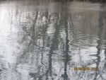 5231_img_0016.jpg (80.35 Kb)