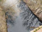 18_img_0023.jpg (88.12 Kb)