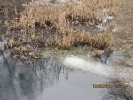 8735_img_0028.jpg (97.61 Kb)