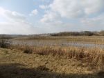 8829_dscn29.jpg (59.81 Kb)