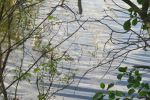 0824_img_0085.jpg (241.26 Kb)