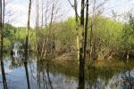 1669_img_0081.jpg (350.3 Kb)