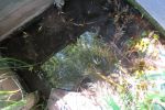 3428_img_0103.jpg (254.13 Kb)