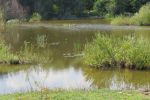 6212_img_0093.jpg (293.86 Kb)