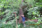 6598_img_0286.jpg (235.59 Kb)