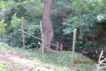 7675_img_0293.jpg (132.28 Kb)
