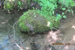 9110_img_0251.jpg (161.09 Kb)