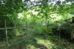 9583_img_0291.jpg (211.72 Kb)